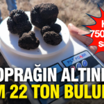 Kilosu 750 euroya satiliyor topragin altinda tam 22 ton bulundu IgsDtiIO